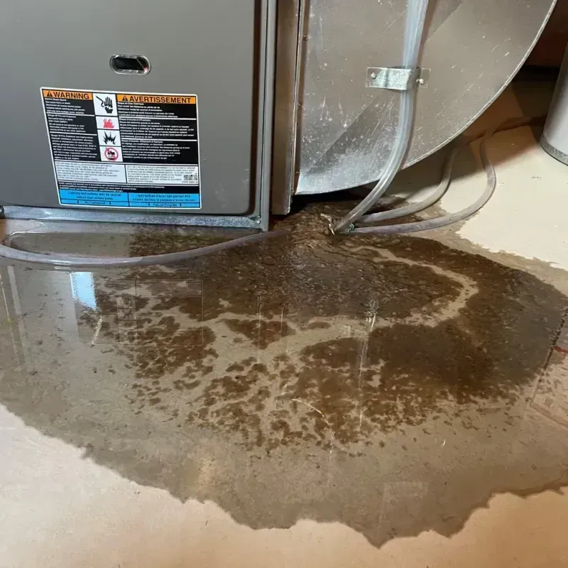 Appliance Leak Cleanup in Peapack, NJ